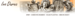 TITUL-MONT.png