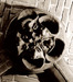 w-chabina_2_gray.jpg